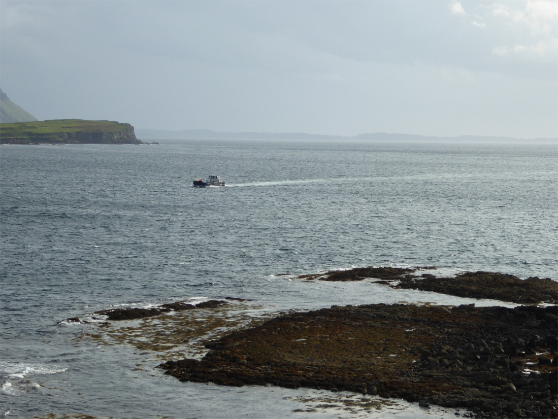 Eastern part of island of Wolf Island